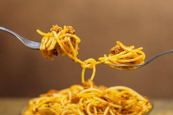 13.04.25 Schleusenfahrt in Breisach mit Spaghetti Schmaus