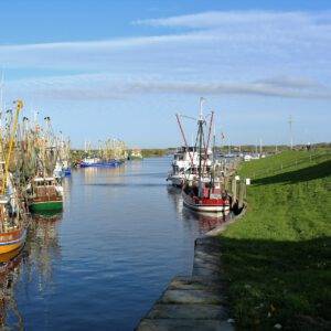 05.-10.07.2026 Moin Moin Ostfriesland