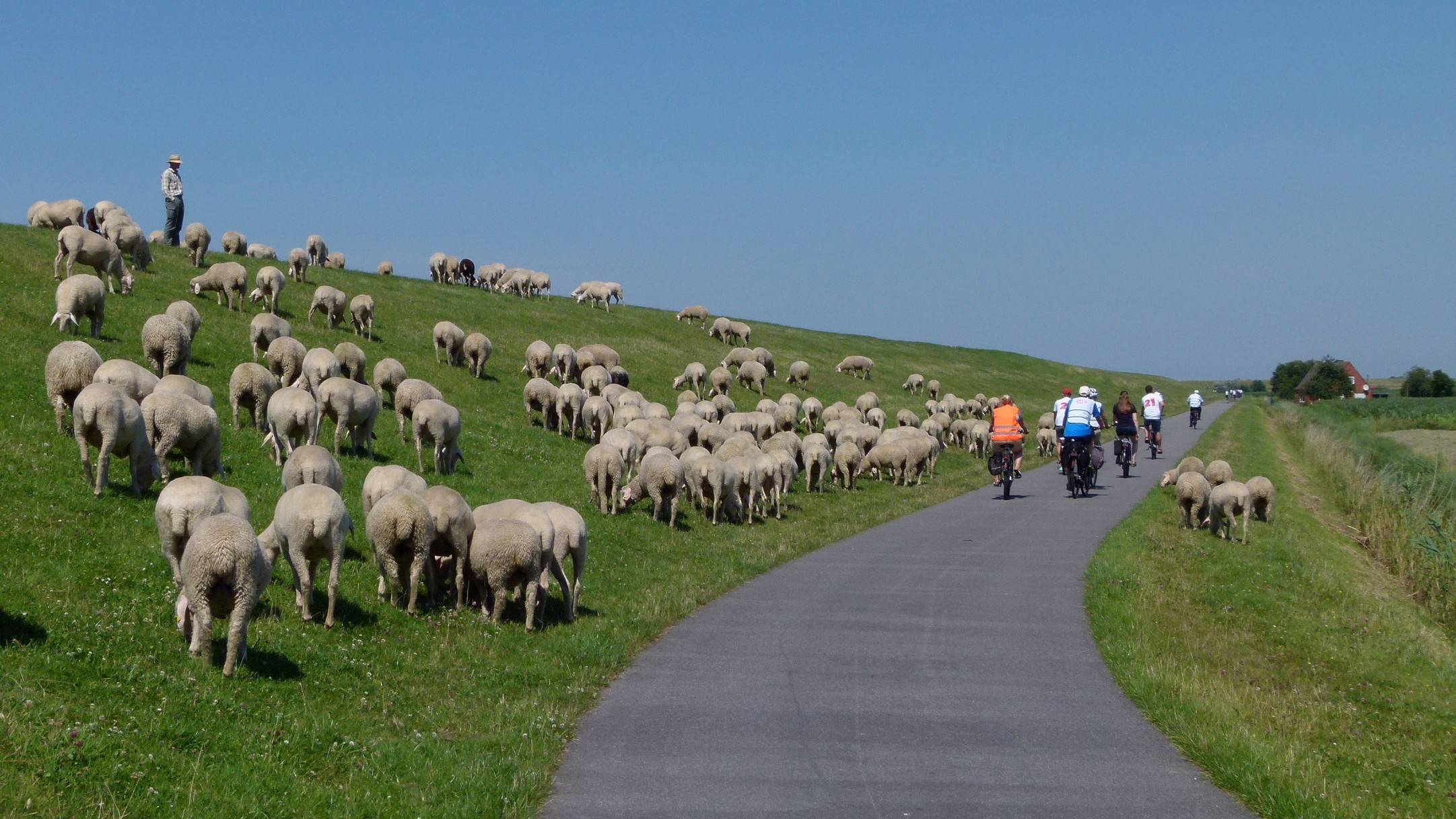 05.-10.07.2026 Moin Moin Ostfriesland – Bild 7