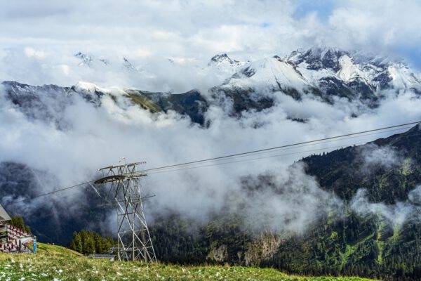 06.07.25 Alpenrosenblüte auf dem Fellhorn – Bild 2