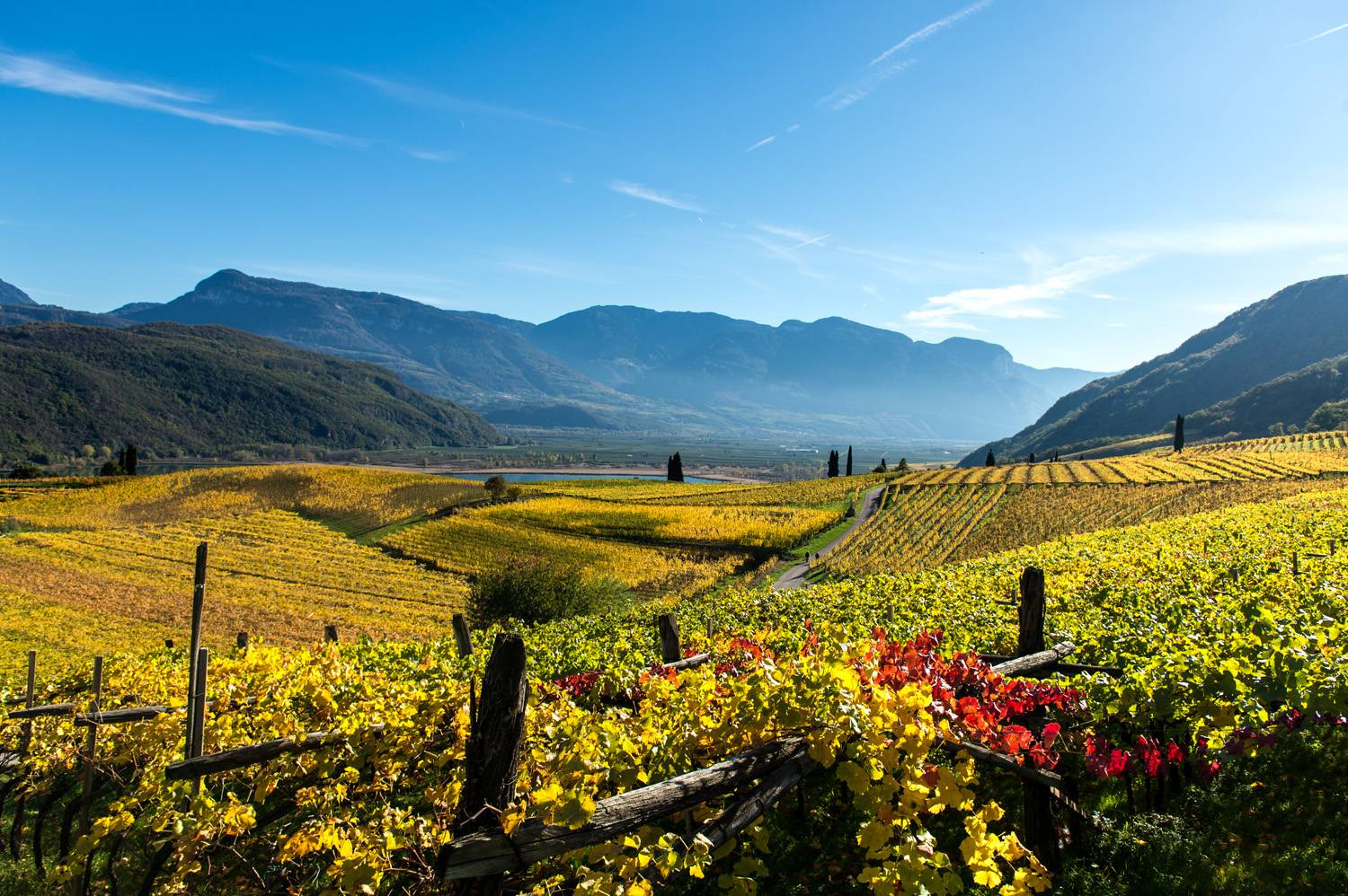 11.10.-14.10.2026 Törggelen - Genuss, Wein & Bergidylle