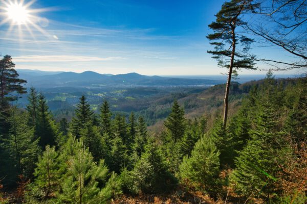 11.09.25 Historische Zugfahrt im Südschwarzwald mit der Sauschwänzlebahn