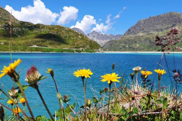 13.08.25 Silvretta Hochalpenstraße - Bieler Höhe – Bild 2