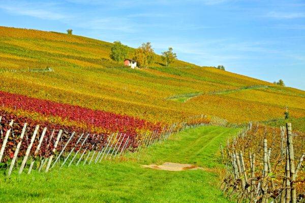 22.10.25 Hofgut Fünfschilling im Markgräflerland und Küssaberg