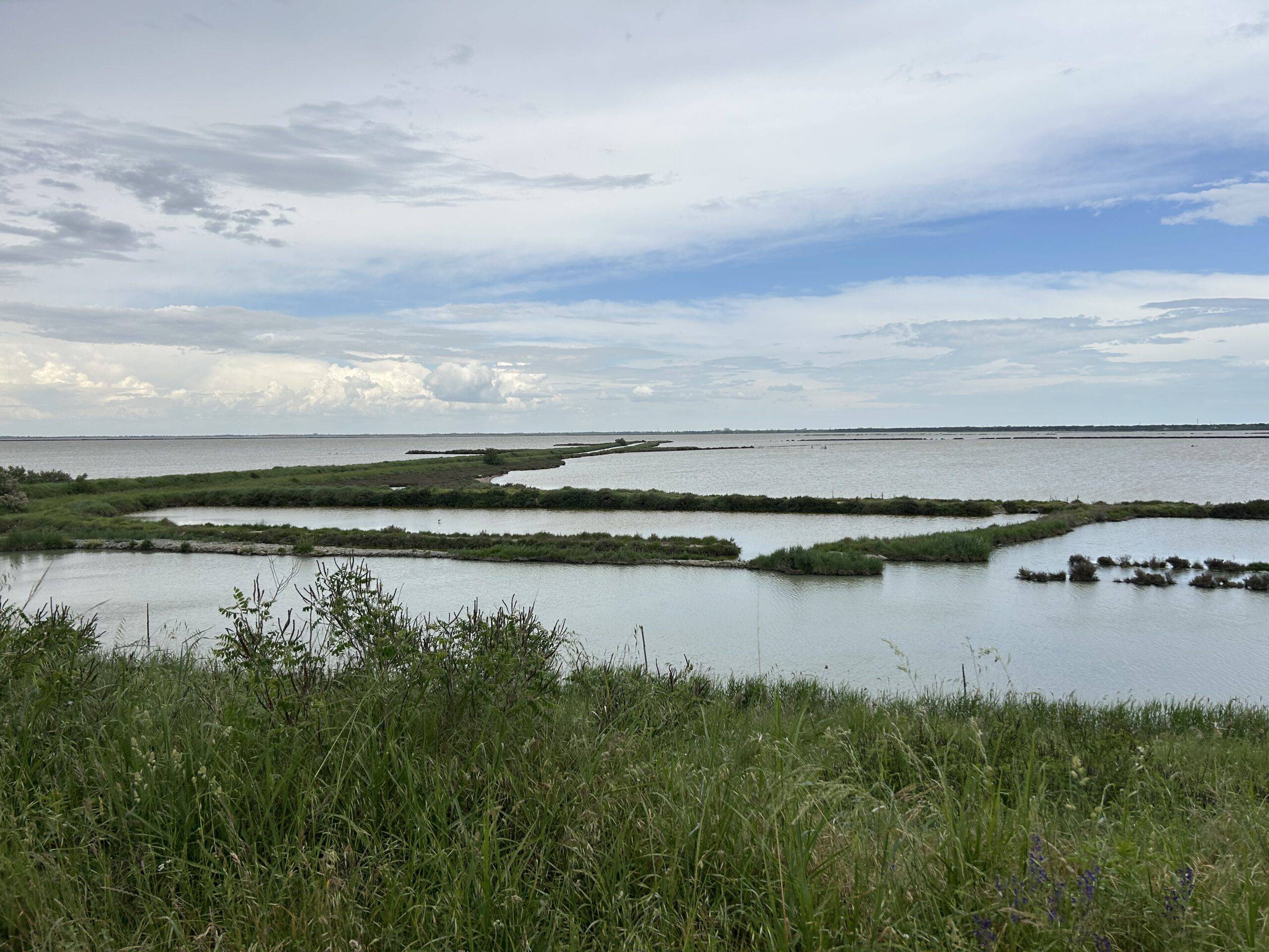 09.-16.05.2026 Sonnenverwöhntes Cesenatico - Frühlingsferien an der Küste der Adria – Bild 3