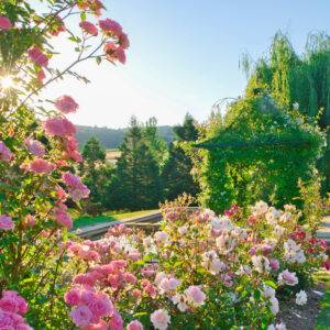 12.05.2026 Gartenparadies im Landhaus Ettenbühl