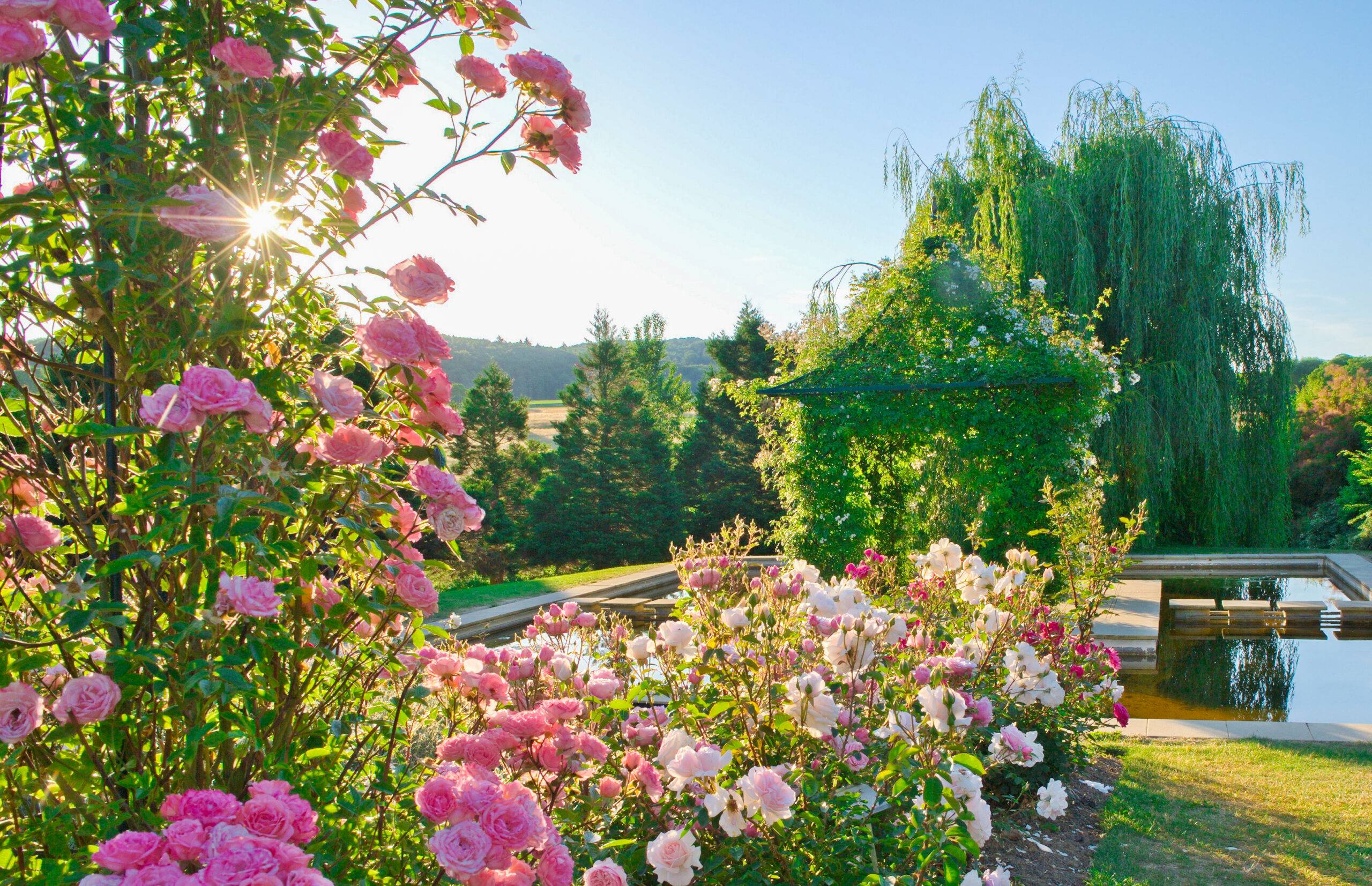 12.05.2026 Gartenparadies im Landhaus Ettenbühl