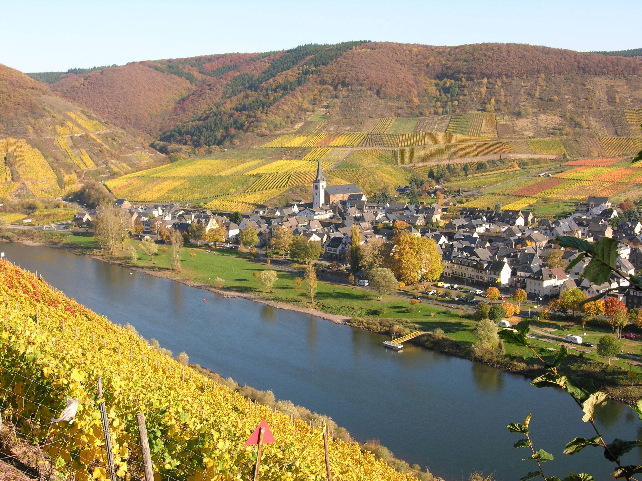 02.09.-06.09.2026 Moselträume - Mit dem Rad zwischen Weinbergen und Burgen – Bild 5