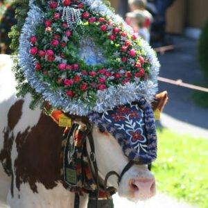 25.09.-28.09.2026 Großer Almabtrieb und Bauernfest in Meransen